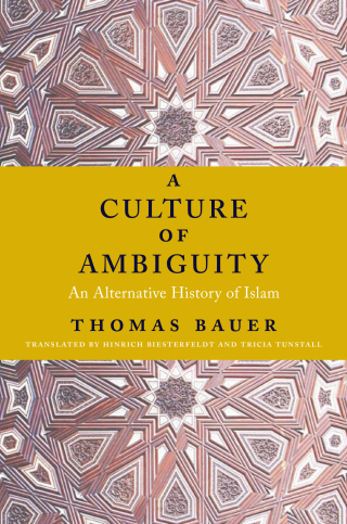 Cover image: A Culture of Ambiguity 9780231170659