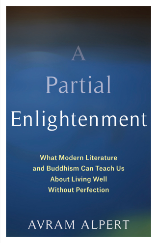 Imagen de portada: A Partial Enlightenment 9780231200035