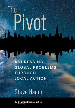 Cover image: The Pivot 9780231200905