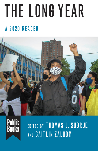 Cover image: The Long Year 9780231204521