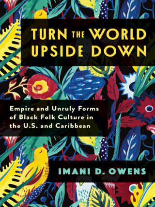 Immagine di copertina: Turn the World Upside Down 9780231208888