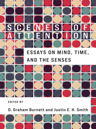 صورة الغلاف: Scenes of Attention 9780231211185