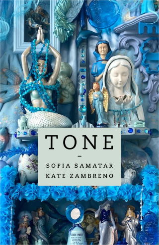Cover image: Tone 9780231211215