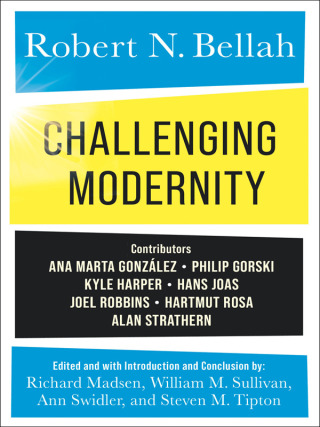 表紙画像: Challenging Modernity 9780231214896