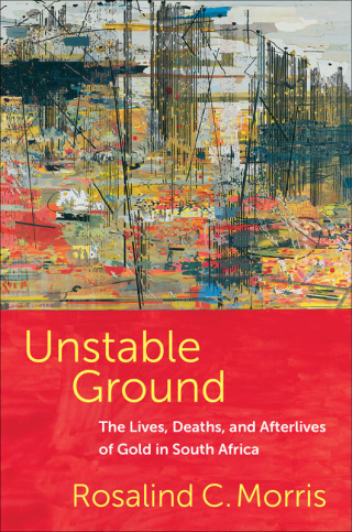 Cover image: Unstable Ground 9780231216111