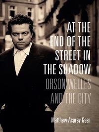 Omslagafbeelding: At the End of the Street in the Shadow 9780231173407