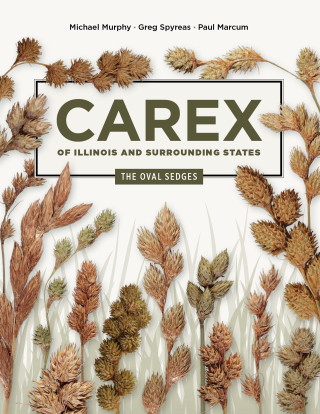 Imagen de portada: Carex of Illinois and Surrounding States 9780252088469
