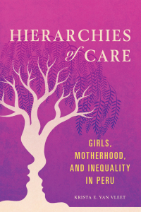 Omslagafbeelding: Hierarchies of Care 9780252042782