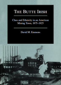Cover image: The Butte Irish 9780252061554
