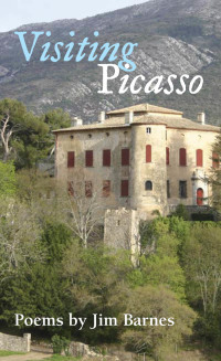 Cover image: Visiting Picasso 9780252073731