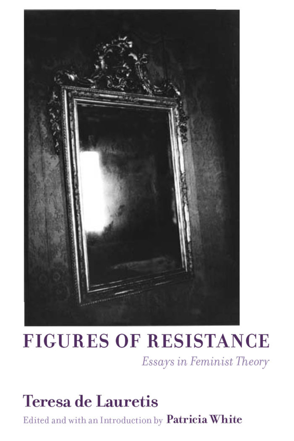 Figures of Resistance Essays in Feminist Theory