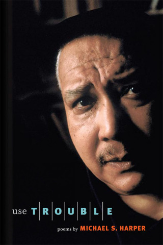 表紙画像: Use Trouble 9780252075988