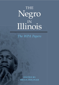 Titelbild: The Negro in Illinois 9780252080937