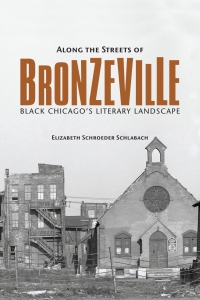 Cover image: Along the Streets of Bronzeville 9780252037825