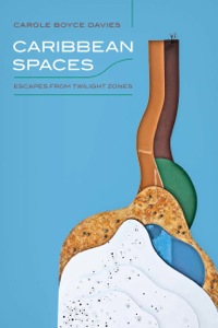 Cover image: Caribbean Spaces 9780252079535