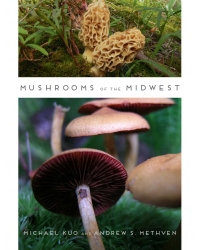 Cover image: Mushrooms of the Midwest 9780252079764