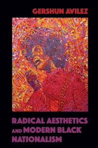 Titelbild: Radical Aesthetics and Modern Black Nationalism 9780252081613