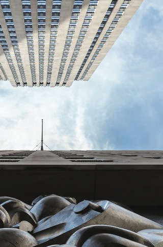 Cover image: Mister Pulitzer and the Spider 9780252040184