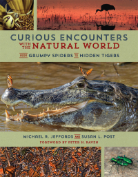 Imagen de portada: Curious Encounters with the Natural World 9780252082665
