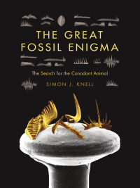 Cover image: The Great Fossil Enigma 9780253006042