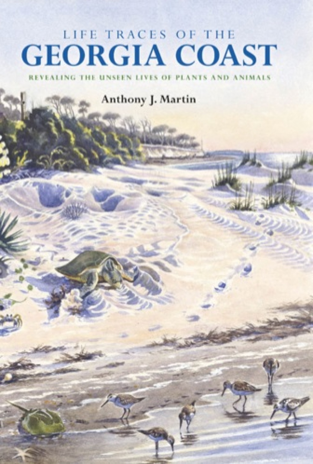 Life Traces of the Georgia Coast Revealing the Unseen Lives of Plants and Animals