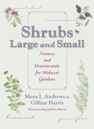 Cover image: Shrubs Large and Small 9780253009067