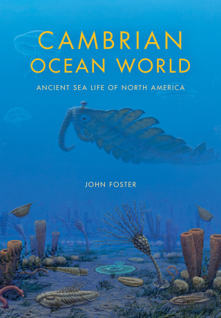 Cover image: Cambrian Ocean World 9780253011824