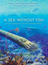 Cover image: A Sea without Fish 9780253351982