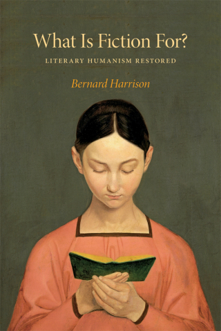 Cover image: What Is Fiction For? 9780253014085
