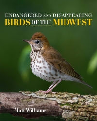 表紙画像: Endangered and Disappearing Birds of the Midwest 9780253035271