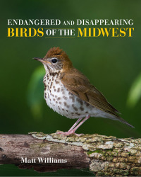 Omslagafbeelding: Endangered and Disappearing Birds of the Midwest 9780253035271