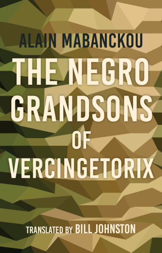 صورة الغلاف: The Negro Grandsons of Vercingetorix 9780253043887