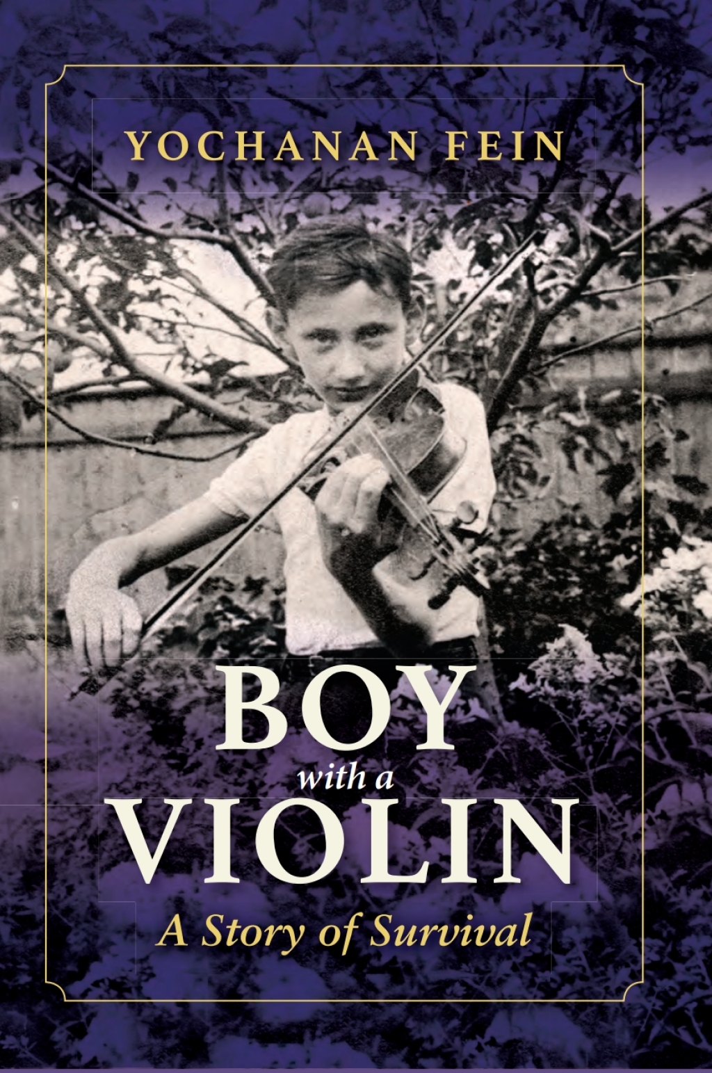 Boy with a Violin A Story of Survival