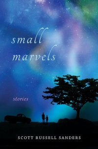 Omslagafbeelding: Small Marvels 9780253061997