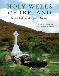 Cover image: Holy Wells of Ireland 9780253066688