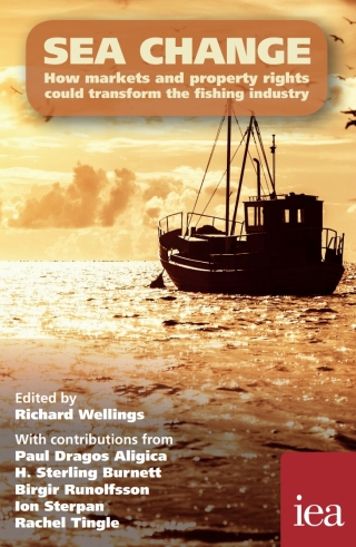 Titelbild: Sea Change 1st edition 9780255367400