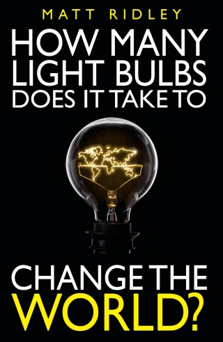 Cover image: How Many Light Bulbs Does It Take to Change the World? 1st edition 9780255367851