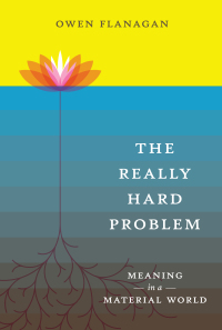 Cover image: The Really Hard Problem 9780262062640