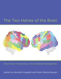 Cover image: The Two Halves of the Brain 9780262014137