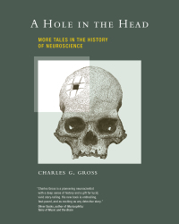 Cover image: A Hole in the Head 9780262013383