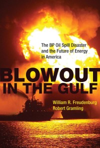 Cover image: Blowout in the Gulf 9780262015837