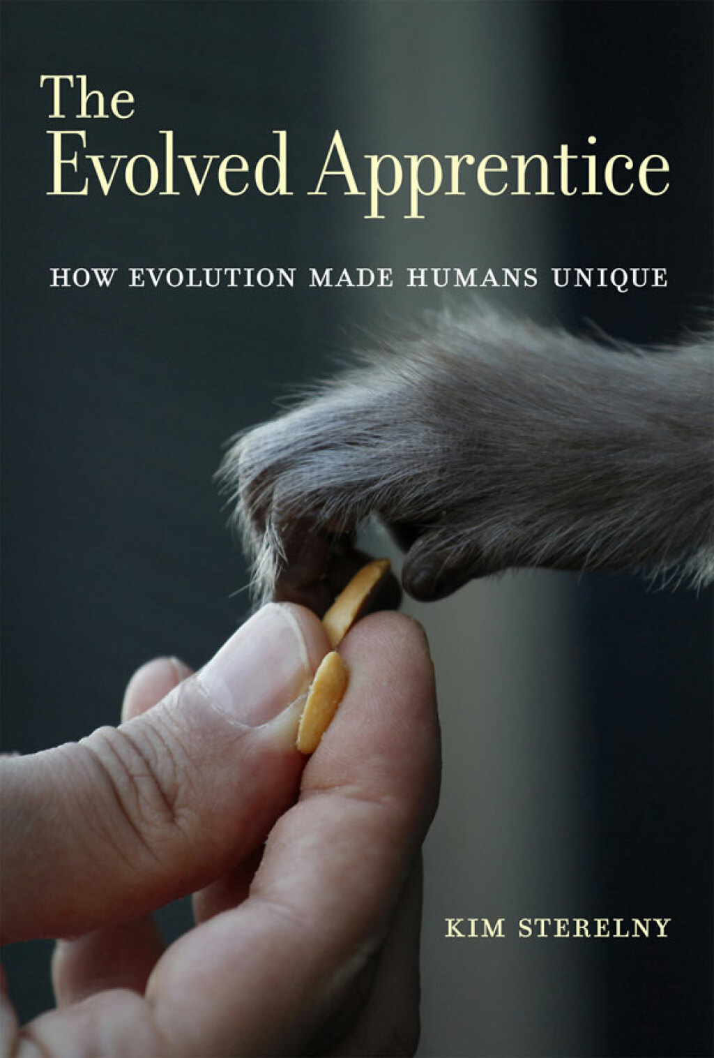 The Evolved Apprentice (eBook)