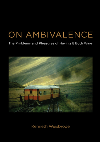 Cover image: On Ambivalence 9780262017312