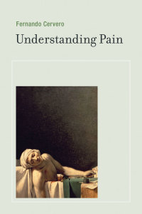 Cover image: Understanding Pain 9780262018043