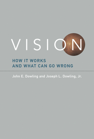Cover image: Vision 9780262034616