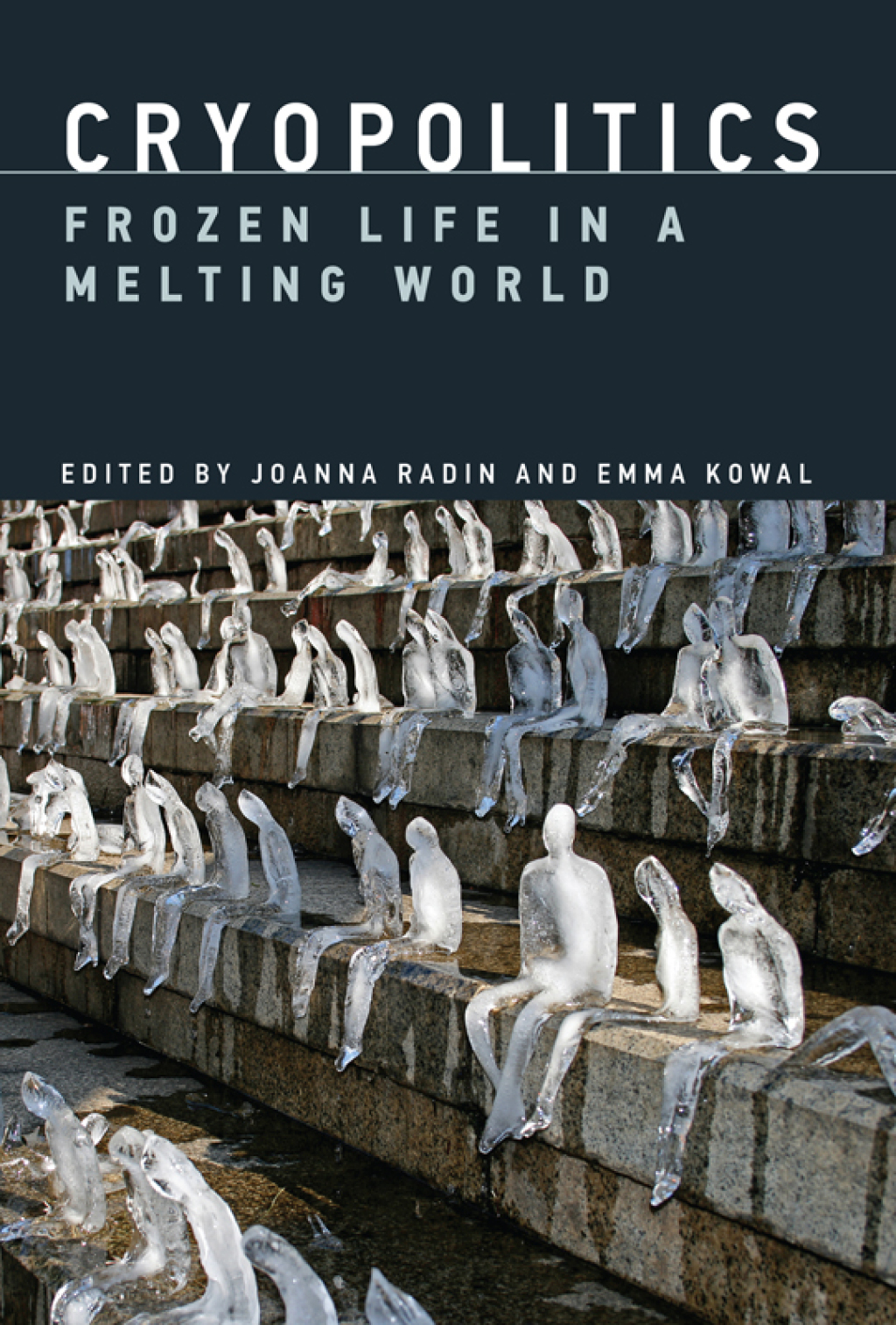 Cryopolitics Frozen Life in a Melting World
