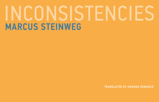 Cover image: Inconsistencies 9780262534352