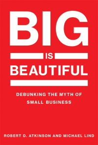 Cover image: Big Is Beautiful 9780262037709