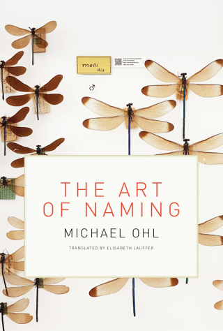 Cover image: The Art of Naming 9780262037761
