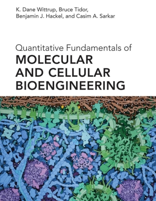 Cover image: Quantitative Fundamentals of Molecular and Cellular Bioengineering 9780262042659